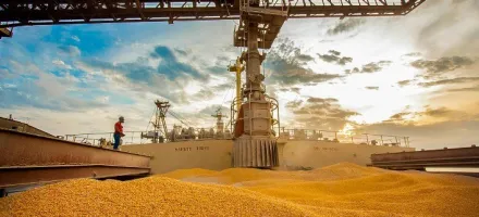 Exporta��es de milho crescem em mar�o, mas incertezas sobre demanda e log�stica preocupam mercado para 2026