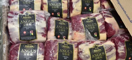 Exporta��es de carne bovina do Brasil batem recorde hist�rico para mar�o