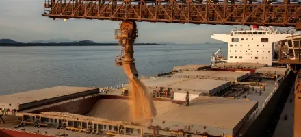 Exporta��es de soja ganham ritmo em mar�o enquanto riscos geopol�ticos pressionam custos log�sticos