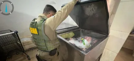 Sema apreende equipamentos proibidos e devolve 56 peixes ao Lago do Manso