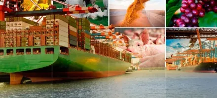 Exporta��es do agroneg�cio somam US$ 15,4 bilh�es em mar�o, mas recuam 0,7% ante 2025