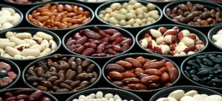 Pre�os sobem para gr�os de maior qualidade, mas demanda limita neg�cios