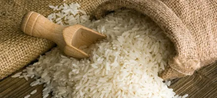 Mercado de arroz segue travado em abril, com pre�os firmes e baixa liquidez no Brasil