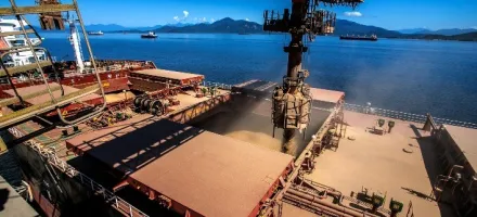 Exporta��es do agro brasileiro avan�am em abril e soja lidera embarques, aponta ANEC