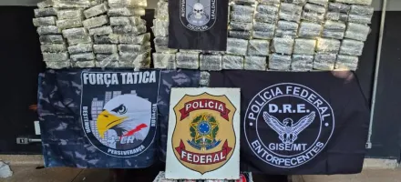 For�as de seguran�a apreendem 250 quilos de coca�na e causam preju�zo de R$ 15 milh�es �s fac��es criminosas