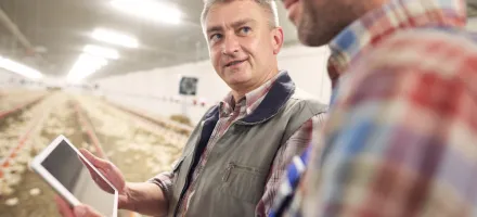 Novo MBA Global em Agroneg�cio conecta Brasil, Europa e �frica