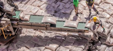 Exporta��es de a��car somam 1,6 milh�o de toneladas no line-up e mant�m forte ritmo de embarques nos portos do Brasil