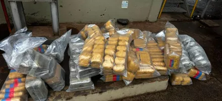 Pol�cia Civil incinera 400 quilos de entorpecentes apreendidos na regi�o de Alto Gar�as
