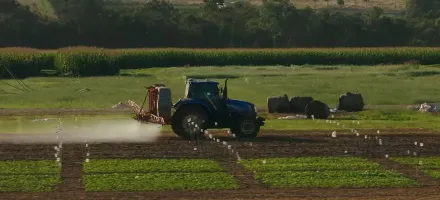 Funda��o Rio Verde divulga pesquisa sobre manejo e intervalo de seguran�a de herbicidas na soja