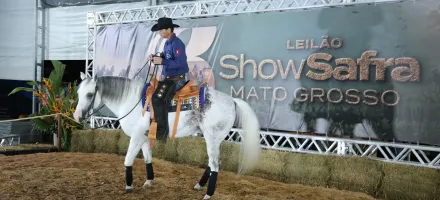 Leil�es, gen�tica e inova��o fazem do Show Safra Pecu�ria um polo de neg�cios