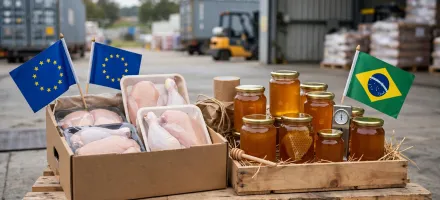Uni�o Europeia deve liberar exporta��o de frango e mel do Brasil em outubro
