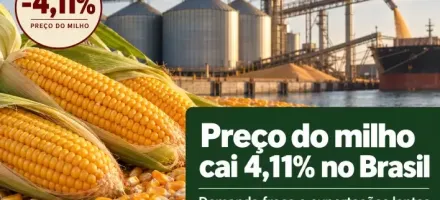 Pre�o do milho cai 4,11% no Brasil com demanda fraca e exporta��es lentas