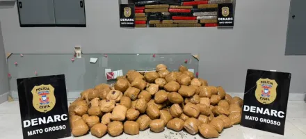 Pol�cia Civil apreende mais de 150 quilos de maconha em casa no bairro Jardim Uni�o