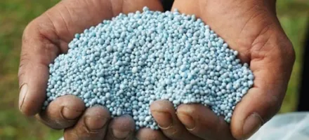 Brasil precisa ampliar produo de fertilizantes para reduzir vulnerabilidade externa, aponta especialista