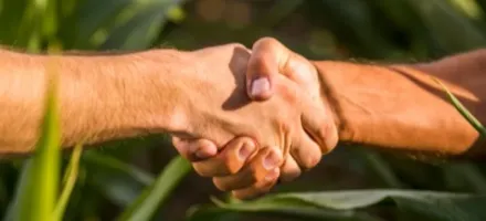 Governana e gesto elevam valuation de empresas do agro em 2025