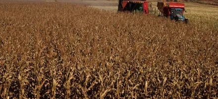 Mato Grosso tem maior procura de recupera��o judicial no agro no 3� trimestre deste ano