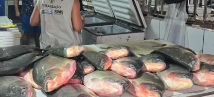 Opera��o conjunta apreende aproximadamente meia tonelada de pescado irregular em feira da Capital