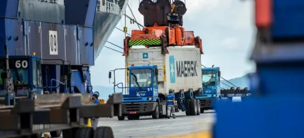 Exporta��es de Carne de Frango do Brasil Crescem 5,3% em Fevereiro e China Retoma Lideran�a