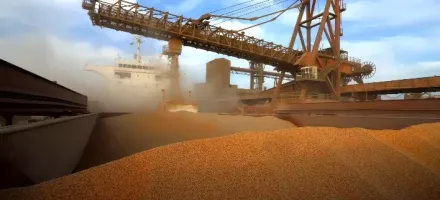 Exporta��es de milho do Brasil superam 1,18 milh�o de toneladas em apenas 5 dias de agosto