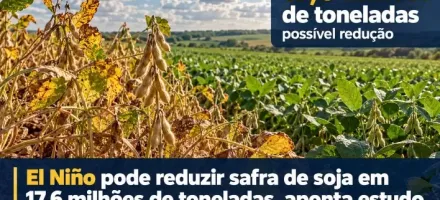 El Ni�o pode reduzir safra de soja em 17,6 milh�es de toneladas, aponta estudo da Serasa Experian