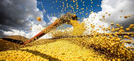 Safra de 2025 atingir 328,4 milhes de toneladas, prev IBGE