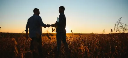 A soluo para a crise no Agro est na prpria crise