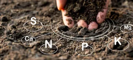 O custo invis�vel do solo degradado j� pesa mais do que o pre�o do insumo