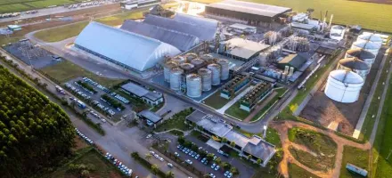 Casamento de gigantes: Amaggi e FS se unem para produzir etanol de milho