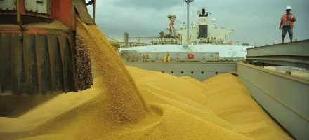 Trump diz que China vai comprar mais soja dos EUA e isso pode aumentar a briga com o Brasil