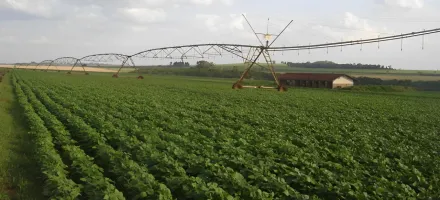 Startup usa tecnologia para prever falta de �gua no campo