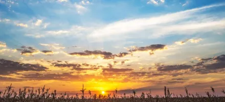 O fim da terra f�cil: Brasil pode parar de expandir �reas agr�colas