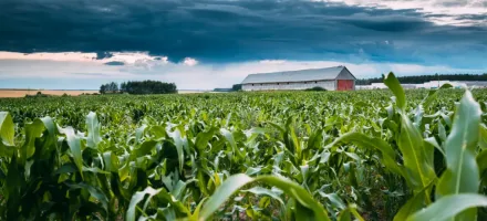 Brasil pode mostrar nova agricultura ao mundo, diz FAO