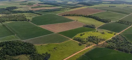 ITR 2026: mudan�as e erros no cadastro podem travar declara��o de im�vel rural