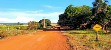 Justi�a confirma fim de distrito que tem apenas 21 moradores em MT
