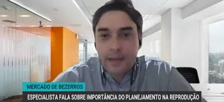 Pre�o alto dos bezerros pede planejamento na reprodu��o