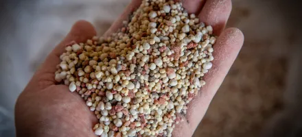 Fertilizantes mais baratos: hora de comprar para a pr�xima safra