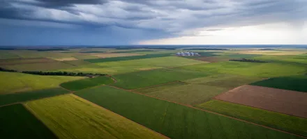Planta��o de soja quase n�o vai crescer no Brasil, prev� consultoria