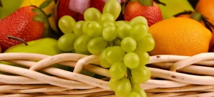 Brasil come�a a exportar uvas sem imposto para a Uni�o Europeia