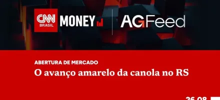 Canola avan�a e ganha espa�o no Rio Grande do Sul