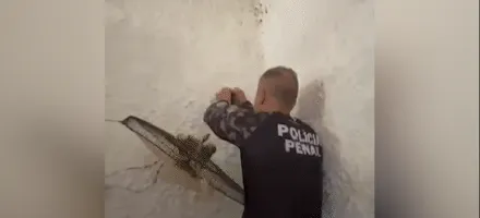 Opera��o em pres�dio do Rio confisca 26 celulares e drogas da parede de cela