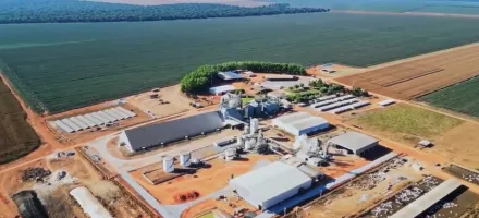 Safra 26/27 da soja come�a nesta quinta-feira em Mato Grosso
