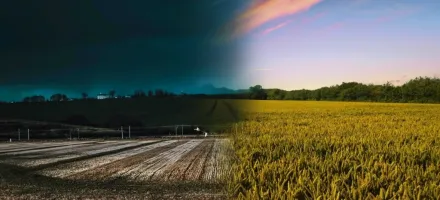 Chuvas irregulares amea�am plantio da soja em estados-chave do Brasil