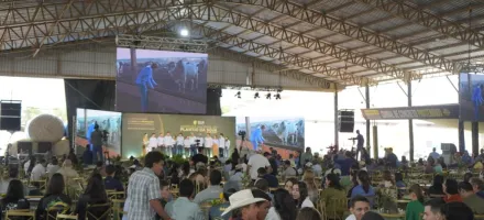 Produzir mais em casa: como fazer a fazenda de soja render mais dinheiro sem depender s� da venda da semente