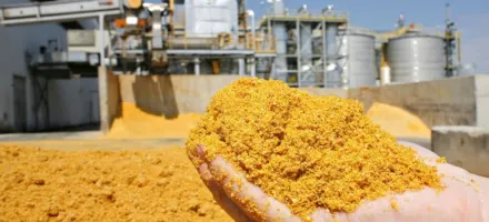 Brasil vai produzir mais de 15 milh�es de toneladas de ra��o para animais at� 2030