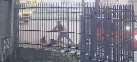 Motorista de app arranca cabelo e joga mulher na cal�ada em Curitiba