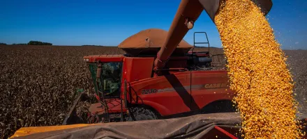 Brasil bate recorde: colheita de gr�os deve chegar a 354 milh�es de toneladas em 2026