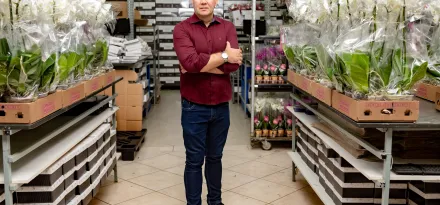 Como a intelig�ncia artificial vai transformar a compra e a entrega de flores
