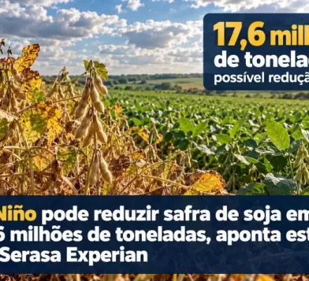 El Ni�o pode reduzir safra de soja em 17,6 milh�es de toneladas, aponta estudo da Serasa Experian