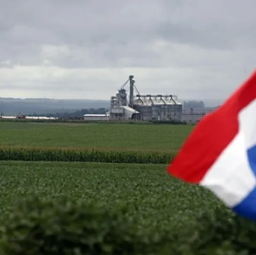 Paraguai registra safra hist�rica de soja e pode superar 12 milh�es de toneladas em 2026
