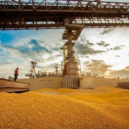 Exporta��es de milho crescem em mar�o, mas incertezas sobre demanda e log�stica preocupam mercado para 2026